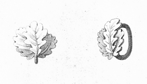 Reproduktion aus der Preuischen Ordensliste 1817, Eichenlaub mit einfachem Durchzugsring